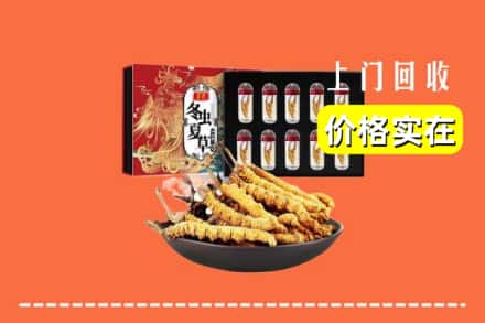 南充市仪陇回收冬虫夏草